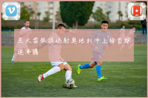 王大雷弧顶远射奥地利冲上榜首球迷沸腾