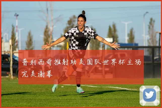 普利西奇推射助美国队世界杯主场完美谢幕