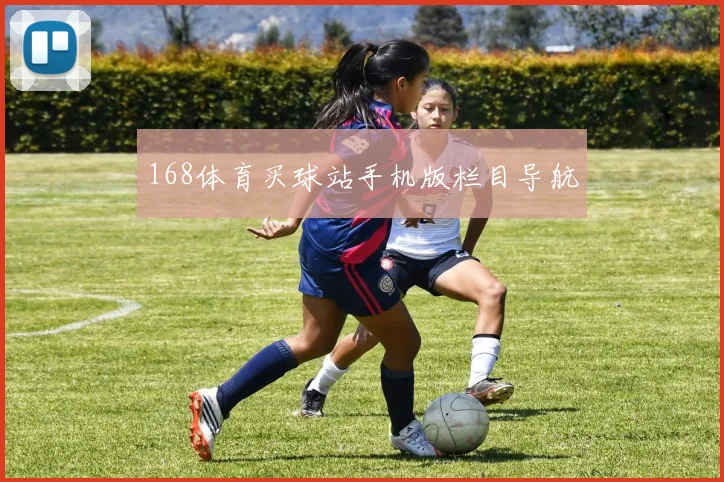168体育买球站手机版栏目导航