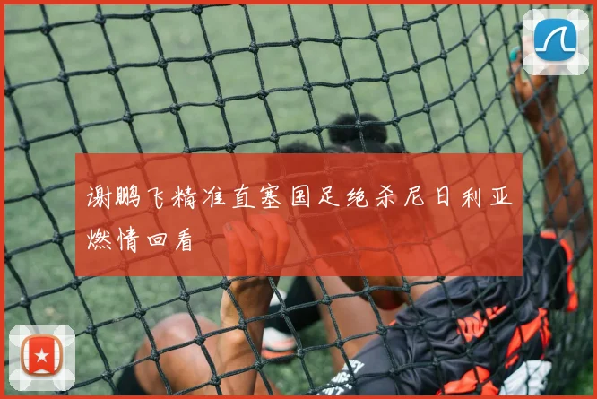谢鹏飞精准直塞国足绝杀尼日利亚燃情回看